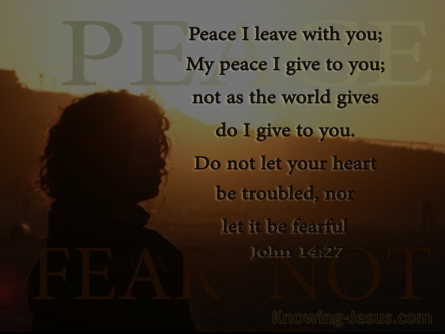 John 14:27 Let Not Your Heart Be Troubled (sage)